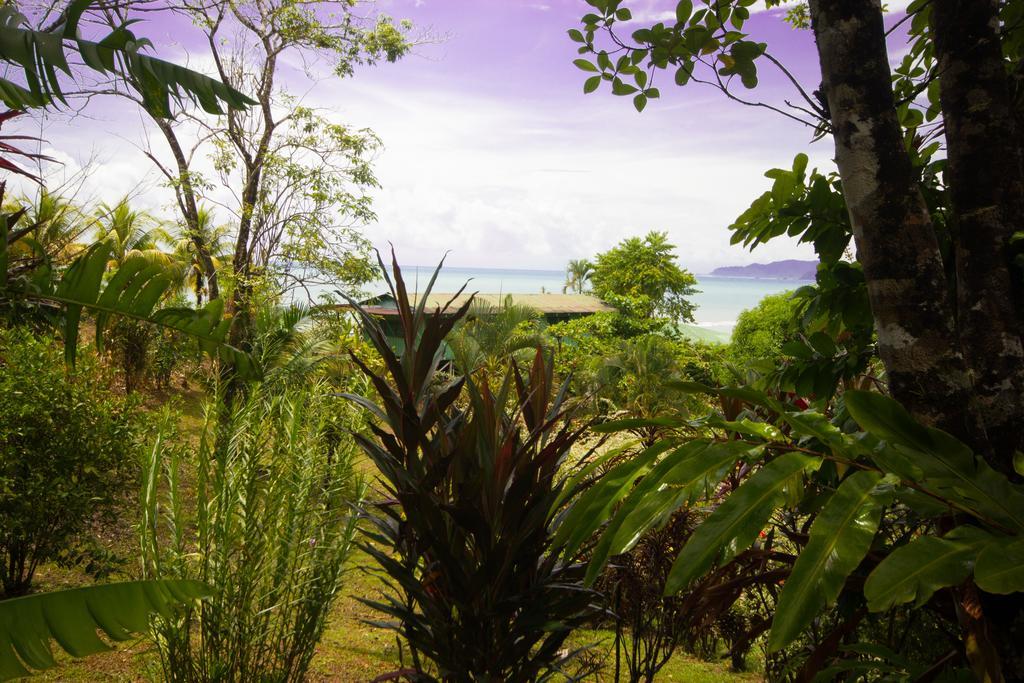 Hotel Rancho Corcovado Drakes Bay Екстериор снимка